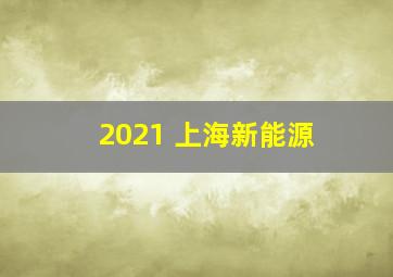 2021 上海新能源